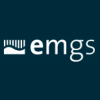 ELECTROMAGNETIC GEOSERVICES