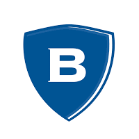 BORGESTAD