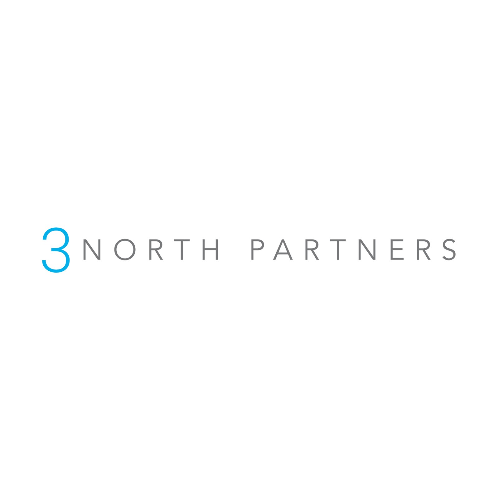3North Partners