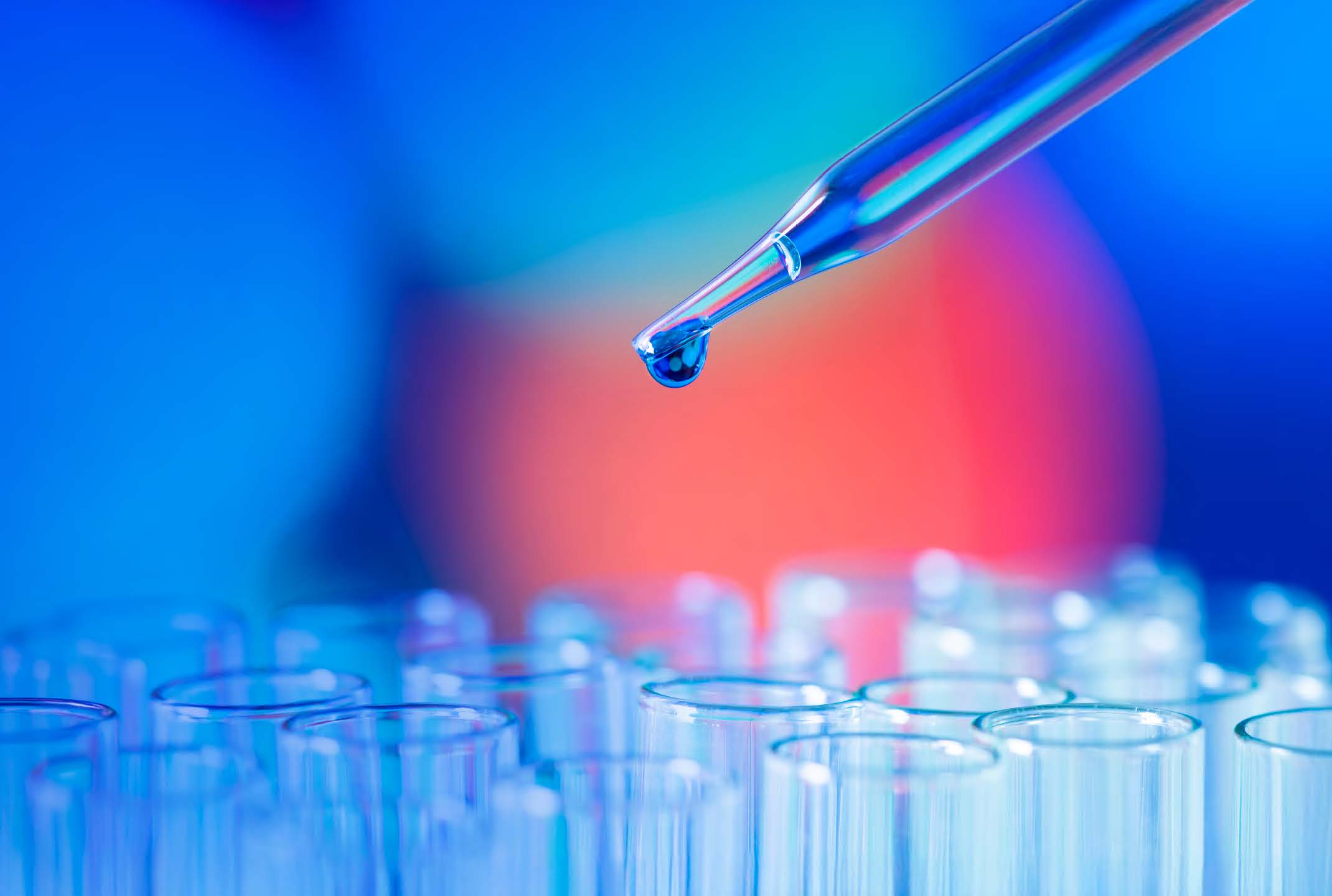 Faron merkintäoikeusanti