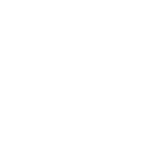 FI-500x500-Icon-white Rahastot