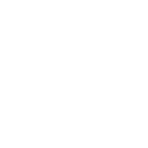 FI-500x500-Icon-white Kaupankäynti-ja-arvopaperit