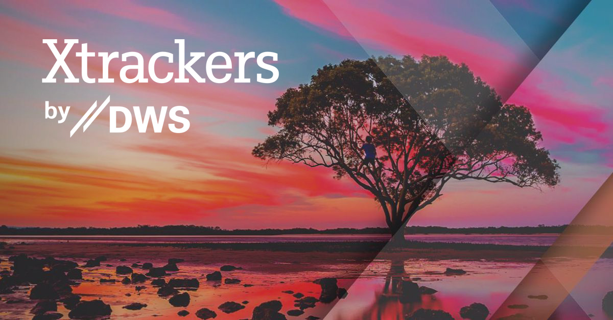 Hajauta salkkusi Xtrackers COREETFillä.