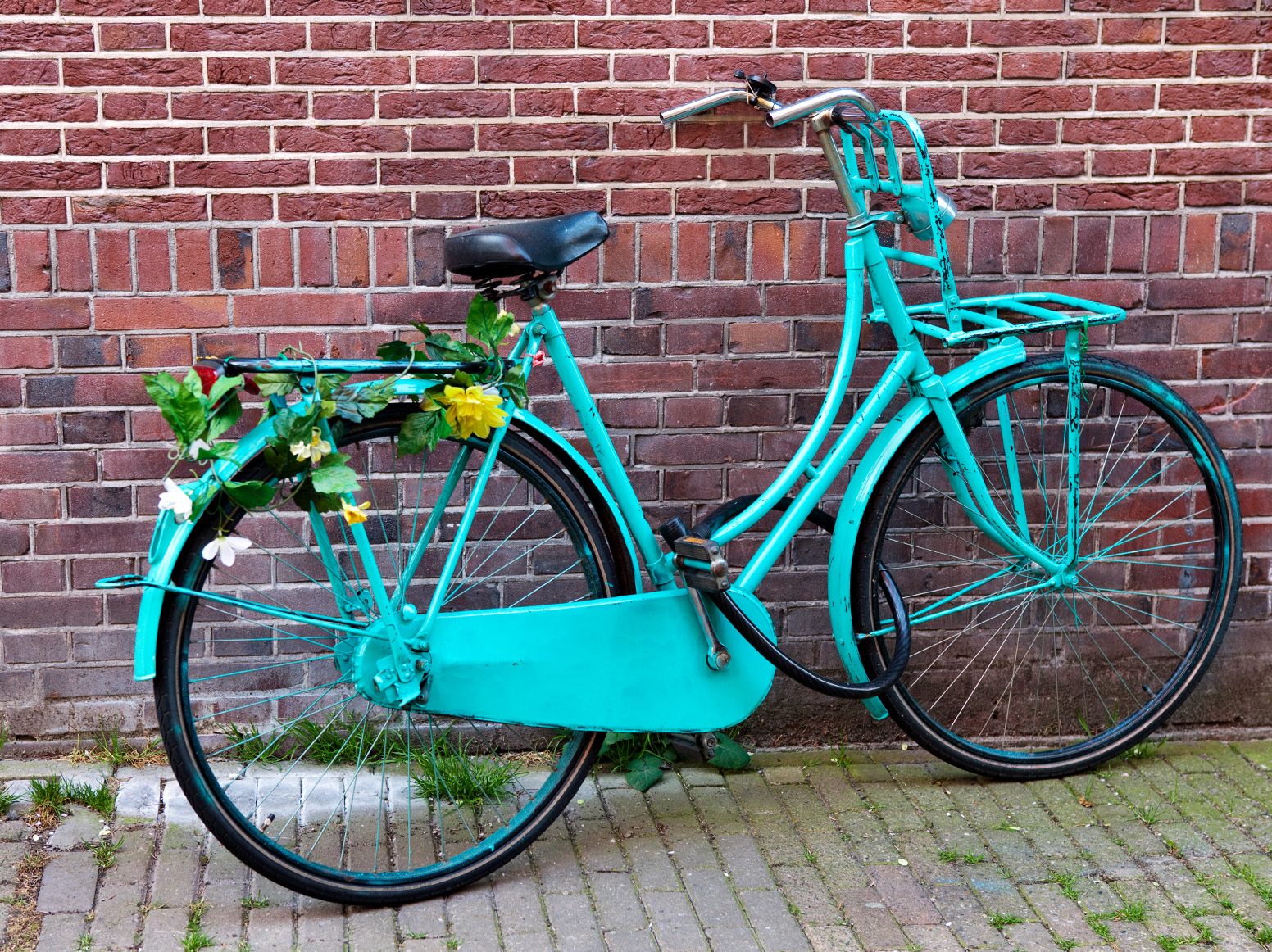 Content_Switcher_-_Images_-_Netherlands.jpg
