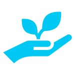 wordpress-image-96520-6