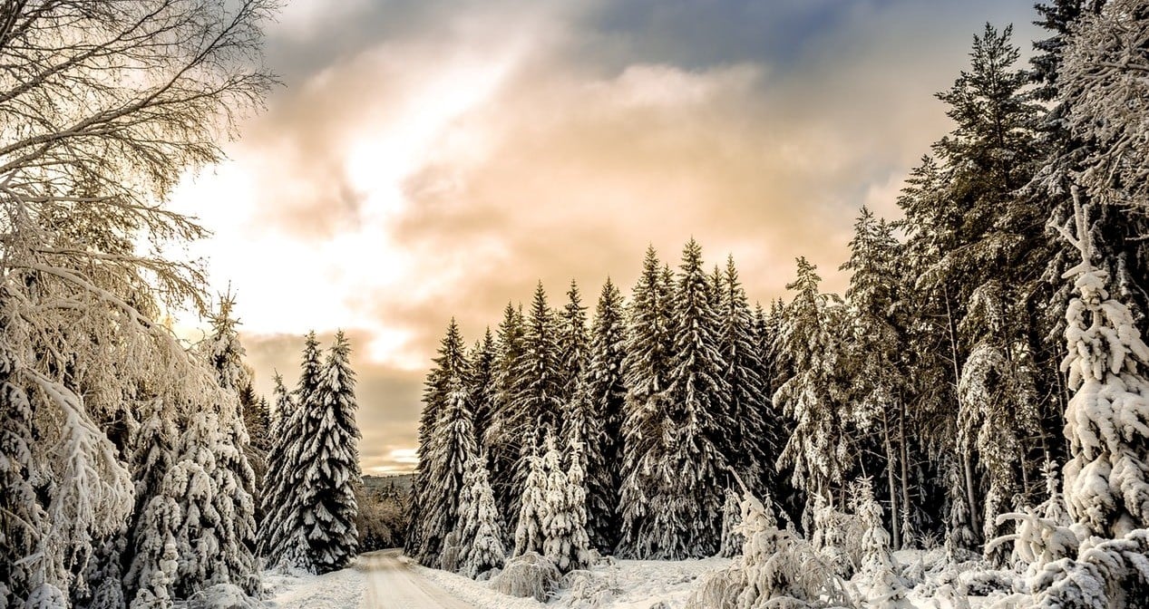 feature-image-96858