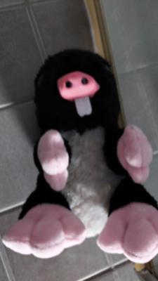 Profilbild