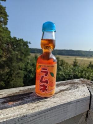 Profiilikuva